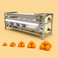 Automatische Calibratoren Fruitmachines Geavanceerde Fruit- en Groente Sorteermachine Hoge Efficiëntie Sorteerplatform