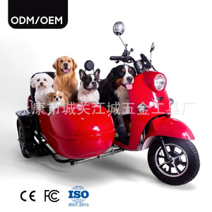 Tricycle électrique à trois roues avec moteur sans balais et siège pour attraction touristique et mobilité des enfants - Product Image 1