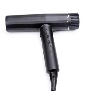 Factory Direct Sale Hair Dryer Household Blow Salon Dryer Negative Ion Electrical Portable Hair Blow Dryer