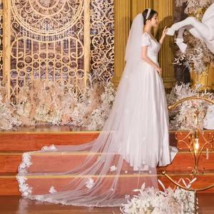 Boda de la novia Velo DE BODA principal Cola larga Tocado de cola Color champán Super Hada Licencia retro Accesorios para fotos - Product Image 6