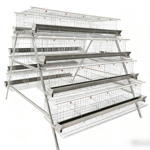 Cage à poulets galvanisée antirouille avec structure à plusieurs niveaux pour l'élevage général <span class=keywords><strong>de</strong></span> volailles - Product Image 1