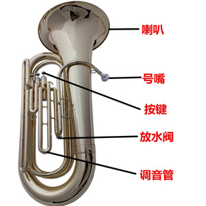 <span class=keywords><strong>Tuba</strong></span> en si bémol en laiton à pistons, instrument à vent de basse fréquence, avec trois pistons, pour usage en fanfare adulte BB - Product Image 3