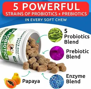 Probiotic For Pet Dog Soft Chews Supplement Protect And Care Sensitive Digestive With Pumpkin Enzyme