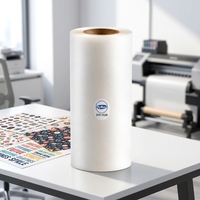 Film DTF PET en rouleau, livraison rapide directe d'usine, 60 cm x 30 cm, format A3, matériau transparent de transfert thermique pour l'impression sur vêtements