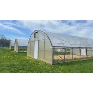 Strawberry grow tent high production single span plastic PE film polycarbonate tunnel greenhouse