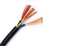 2-adriges N-RVV Feuerbeständiges Kabel, Kupferleiter, 300/500V, für Brandmeldeanlagen, Notbeleuchtung Stromkabel