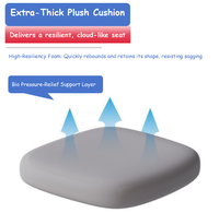 Chaise d'étude ergonomique moderne en plastique pour enfants, prix d'usine, OEM, avec fonctions de sécurité, réglable en hauteur, pour salon d'enfants