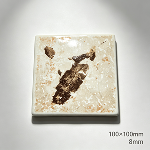 Piastrella Moderna con Stampa a Foglia ACCENTS 100x100mm, Piastrella da Parete in Ceramica Stampata a Mano con Motivo Botanico Scuro per Paraschizzi <span class=keywords><strong>Cucina</strong></span> - Product Image 1