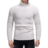 Pull tricoté col roulé pour homme automne-hiver, motif chevron côtelé directionnel, coupe ajustée texturée