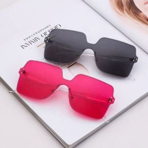 Gafas de Sol Cuadradas Vintage con Logotipo Personalizado de Moda 2020, Gafas de Sol Extra Grandes sin Montura con Protección UV400 para Mujer - Product Image 4