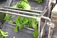 Automatische Gemberaardappel Fruitgroentewasmachine Data Reinigingsmachine Aardappelen Plantaardige Vortex Wasmachines