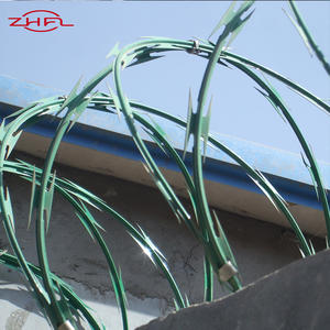 Fil de fer barbelé galvanisé professionnel de sécurité fabriqué en Chine, bobine de fil de fer barbelé croisé - Product Image 2