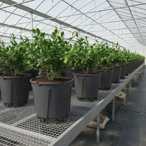 Alta qualità da esterno in polietilene (PE) CFX contenitori di drenaggio perfetto per il vivaio di mirtilli utilizzato con piante in plastica - Product Image 3