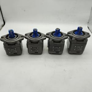 Bomba de Aceite Hidráulica SUNNY HG0-13-01R-VPC HG HG0 HG1 HG2 HYTEK Bomba de Engranajes Internos de Alta Presión HG1-50-01R-VPC HG2 -80 -01R-VPC - Product Image 4