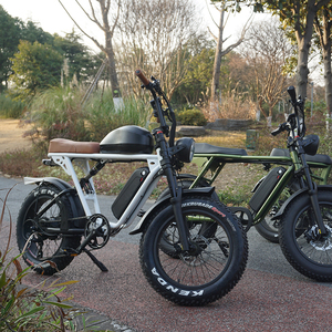 จักรยานไฟฟ้าไฮบริด 73 รุ่น Super Dual Battery ล้อโต 20 นิ้ว ยาง Fat Tire มอเตอร์หลัง 1000 วัตต์ ระยะทางไกล 7 สปีด - Product Image 1