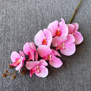 ดอกกล้วยไม้ฟาแลนนอปซิสประดิษฐ์ จินซี 8 หัว สีฟ้า ผ้าไหม สำหรับตกแต่งงานแต่งงาน ตกแต่งห้องนั่งเล่น ของตกแต่งบ้าน - Product Image 3
