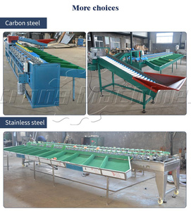 Calibreur automatique de poids de mangue machine de sélection pitaya machine de tri et de classement de tomates - Product Image 2