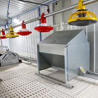 Cages à poulets de chair automatiques durables de type H avec mangeoire et abreuvoir, durée de vie de 15 à 20 ans, garantie 1 an, équipement pour élevage de poulets