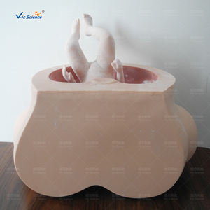 Modèle de formation avancée simulée de sage-femme pour les étudiants en médecine dans l'enseignement hospitalier - Product Image 6