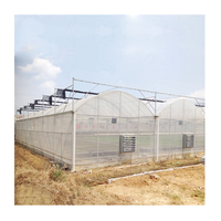 Landwirtschaftliches Mehrspanniges Venlo-Glasgewächshaus mit Photovoltaik-Anlage