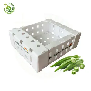 Eco friendly waterproof pp plastic hollow packaging vegetables fruit boxes