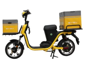 자전거 성인 중국 핫 세일 800W 전기화물 자전거 60v 전기 음식 배달 차량 자전거/자전거