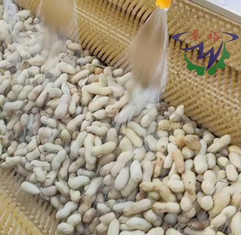 Industrial Vegetable Fruit Washing Machine Leaf
