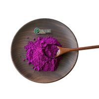 Poudre de fruit du dragon lyophilisée, poudre de pitaya naturelle, fournisseur en gros, poudre de jus de fruit du dragon rouge pour boissons, smoothies et pâtisseries