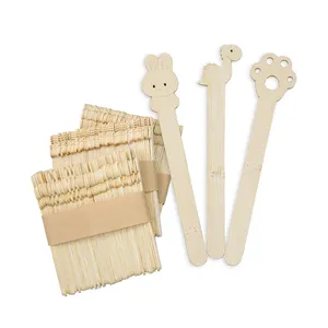 wholesale customization Party Small Cute Animal Mini Wooden Disposable Bamboo ice-cream sticks