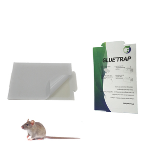 Trampa de pegamento verde ecológica y personalizada <span class=keywords><strong>para</strong></span> ratones/<span class=keywords><strong>ratas</strong></span>, con pegamento sólido de cacahuete <span class=keywords><strong>para</strong></span> el control de plagas. - Product Image 6