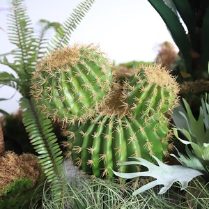 Planta Tropical Artificial de Tacto Real, Combo de Agave, Cactus y Palmera para Paisajismo de Interiores en Espacios Comerciales - Product Image 4