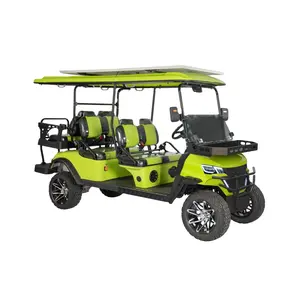 Wintao 72V Lithium Battery 4 Wheel Drive Cargo Buggy 2 Seater Electric UTV Golf Cart