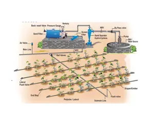 2024 irrigazione irrigazione agricoltura sistema agricolo irrigazione a goccia un ettaro agricoltura sistema di irrigazione