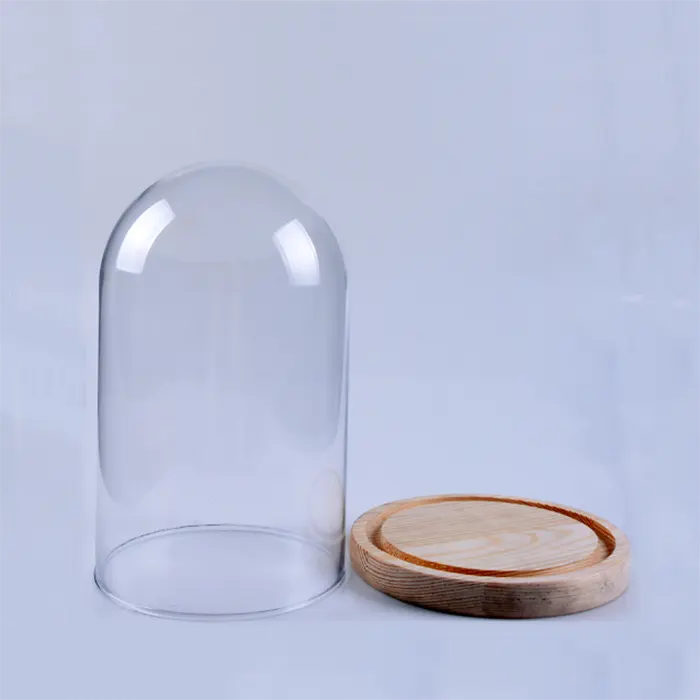 Loodvrij helder glazen koepel met hout stand