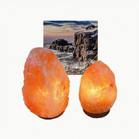 VENTE EN GROS DE CRISTAL DE FORME NATURELLE 1-2KG FENGSHUI AVEC INTERRUPTEUR DIMMABLE DU PAKISTAN POUR LA DÉCORATION DE LA MAISON LAMPE EN SEL ROSE DE L'HIMALAYA