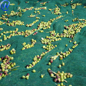 Nông Nghiệp Màu Xanh Lá Cây 6*10M Nhựa Lưới HDPE Côn Trùng Túi Lưới Cho Trái Cây Và Ô Liu Thu Hoạch Chống-Gai Ô Liu Net Miễn Phí Chọn Cào - Product Image 2
