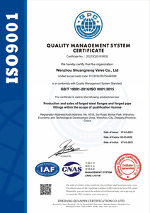 WN DN350 PN16 chất lượng và hiệu suất thép không gỉ rèn thép hàn cổ mặt bích cho ống chính xác tham gia - Product Image 6