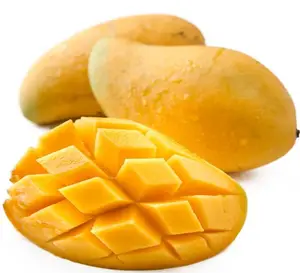 High Quality Mango Extract Mangiferin Supplement Mangiferin