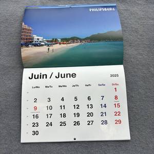New Design Calender 2026 Custom Printing <strong>Calandra</strong> 2026 Decor Wall Tear Off Calendar - Product Image 3