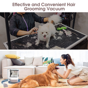 Patpet 2026, aspiradora recargable para mascotas, cortadora eléctrica, Kit de cepillo de aseo para pelo de perro, respetuoso con el medio ambiente - Product Image 5