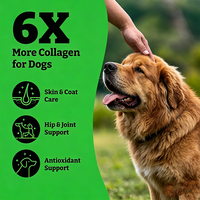 Friandises pour chiens OEM Multi Collagène, 120 comprimés en bouteille, pour une pelage sain et brillant, aide holistique à la croissance des chiots, friandises moelleuses savoureuses riches en protéines