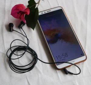 Chất Lượng Tốt Nhất Maple Gỗ Trong Tai Nghe Stereo Âm Thanh Gỗ Cho Điện Thoại Di Động - Product Image 3