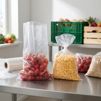 Op maat gemaakte platte open plastic PE zakken met gravureprint, recycleerbaar, hitteverzegelbaar verpakkingsmateriaal voor groenten & fruit