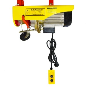 Palan électrique PA200kg/PA400kg/PA600kg/PA800kg/PA1000kg mini palan électrique Offre Spéciale en inde - Product Image 2