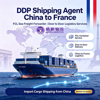 Agent d'expédition DDP Chine vers France, transitaire maritime FCL, services logistiques porte-à-porte depuis Shanghai pour le fret importé