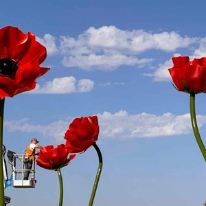Scultura Astratta di Rosa in Metallo Verniciato Rosso di Alta Qualità Vincentaa - Product Image 2