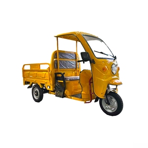 Sonlink Vàng Công Suất Cao Tải Cao 1000W 1.5M Dài Phạm Vi Tùy Chỉnh Sang Trọng Mở Hàng Hóa Điện Ba Bánh - Product Image 3