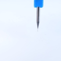 Micro End Mill 0.25mm 2 Flute Solid Carbide Flat Square End CNC Milling Cutter untuk Pemesinan Mikro PCB Presisi