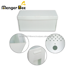 Nuevo Núcleo de Colmena Plegable de Plástico Poly Hive Nuc 5 Cuadros Blanco Leche para Abejas Menger del Reino Unido - Product Image 3
