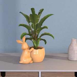 Fabricant vente en gros de pots de fleurs d'extérieur jardinière de fleurs en céramique personnalisée pour la décoration intérieure jardin figure animale lapin pot de fleurs - Product Image 5